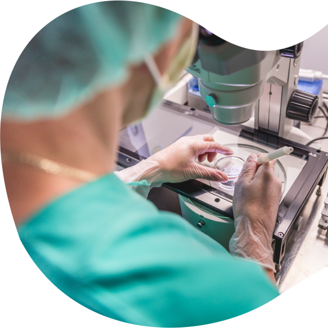In vitro fertilizace (IVF)