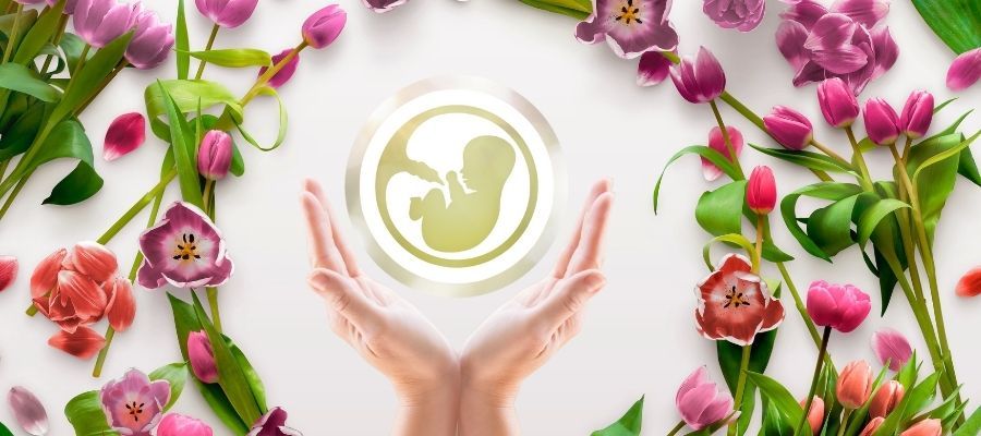 Schneller als auf ein Wunder zu warten: IVF in Karlsbad mit genetisch getesteten Embryonen